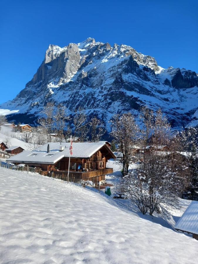 Pfyffer - Mountain View Appartamento Grindelwald